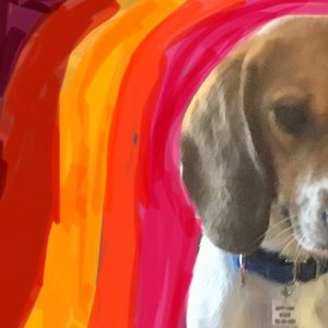 Meet your Posher, Lila